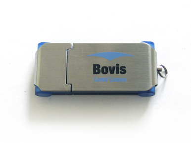 Bovis